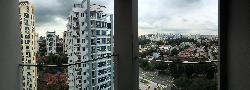 Bella Casita (D15), Apartment #38320462